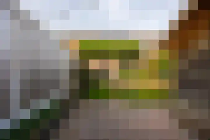 De Lage Wick 7 Oosterhout thumbnail 39
