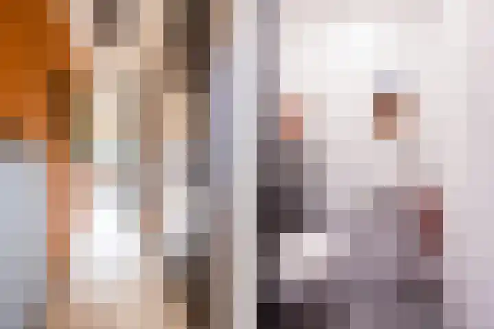 De Lage Wick 7 Oosterhout thumbnail 4