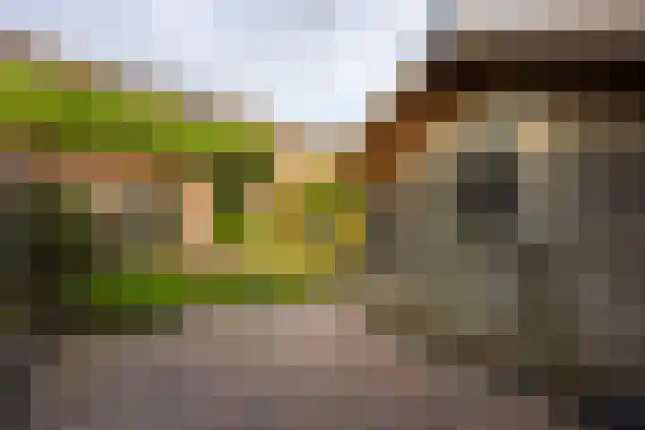 De Lage Wick 7 Oosterhout thumbnail 40
