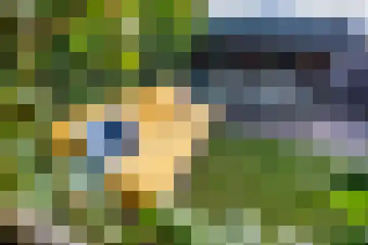 De Lage Wick 7 Oosterhout thumbnail 41