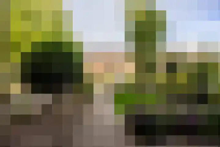 De Lage Wick 7 Oosterhout thumbnail 43