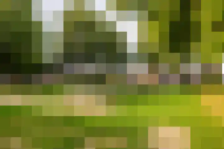 De Lage Wick 7 Oosterhout thumbnail 44