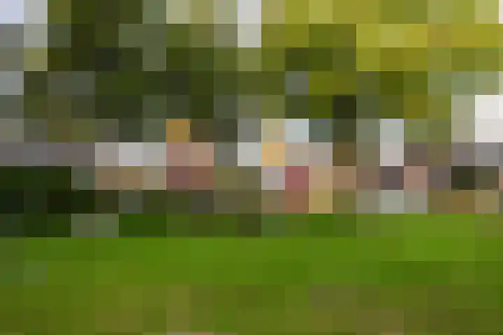 De Lage Wick 7 Oosterhout thumbnail 45