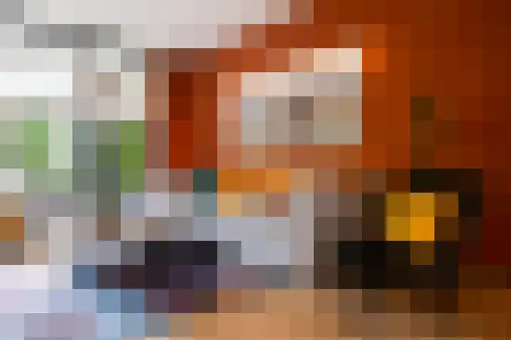 De Lage Wick 7 Oosterhout thumbnail 9