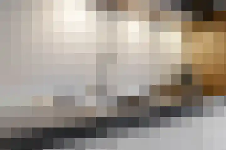 De Laghe Weijdt 13 Heiloo thumbnail 16