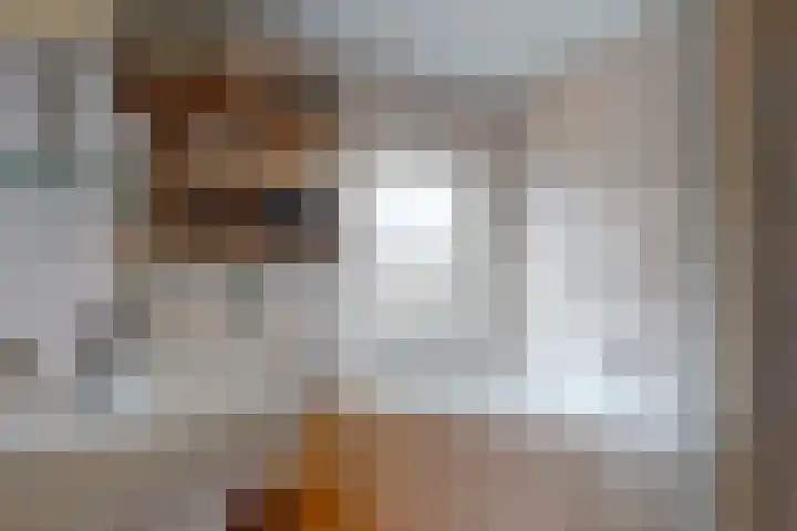 De Laghe Weijdt 13 Heiloo thumbnail 24