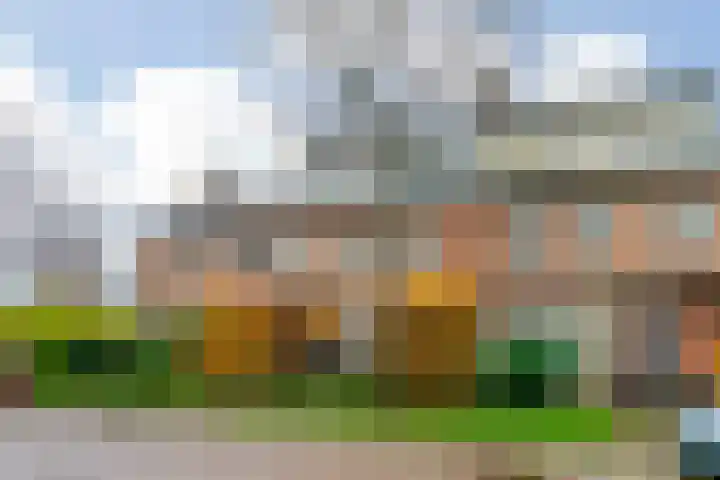 De Laghe Weijdt 13 Heiloo thumbnail 42