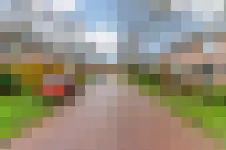 De Laghe Weijdt 13 Heiloo thumbnail 43