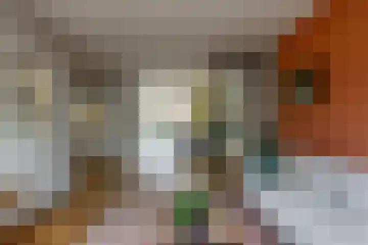 De Laghe Weijdt 13 Heiloo thumbnail 6