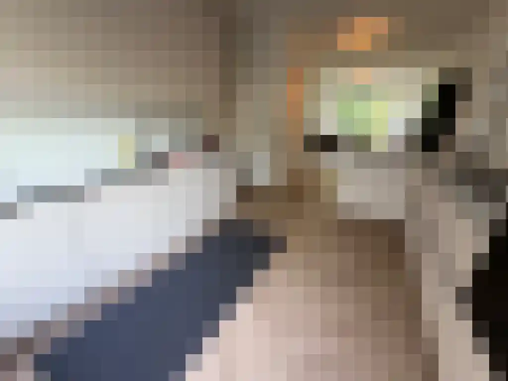 De Lairesselaan 10 Rotterdam thumbnail 5