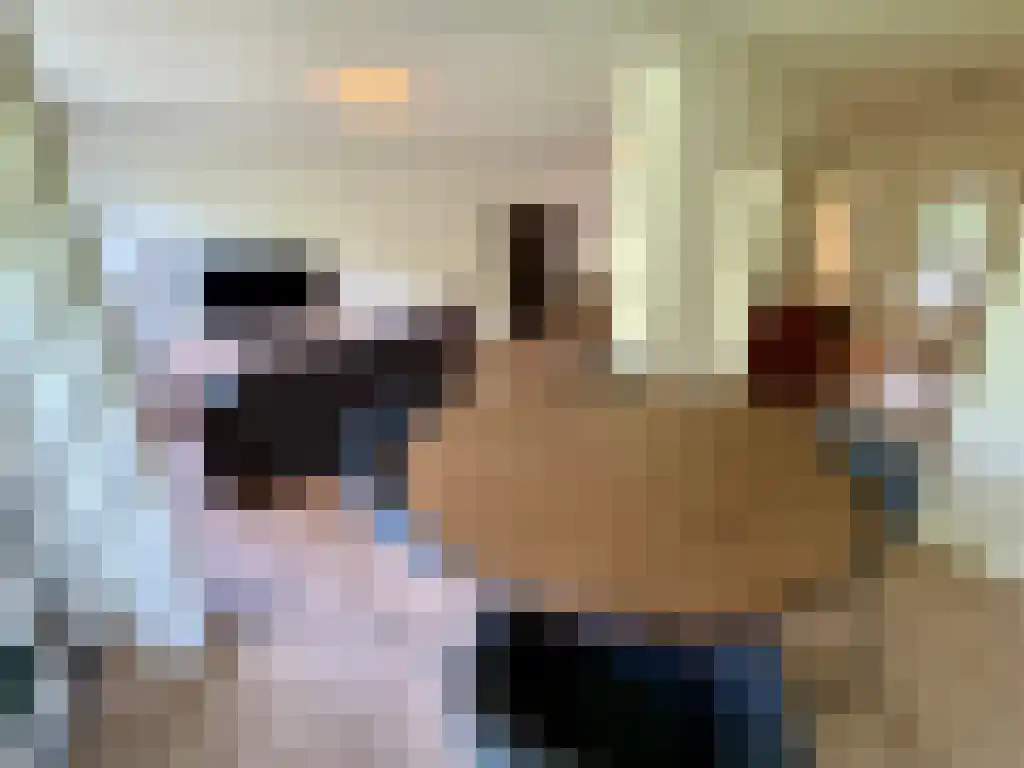 De Lairesselaan 10 Rotterdam thumbnail 5