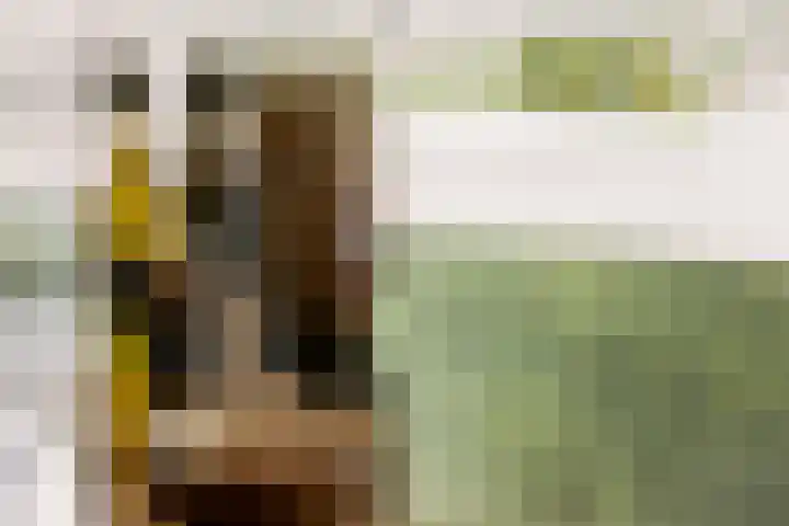 De Lairesselaan 12 Rotterdam thumbnail 16