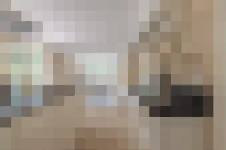 De Lairesselaan 12 Rotterdam thumbnail 17