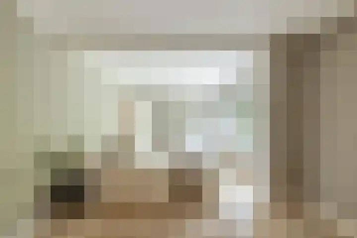De Lairesselaan 12 Rotterdam thumbnail 21