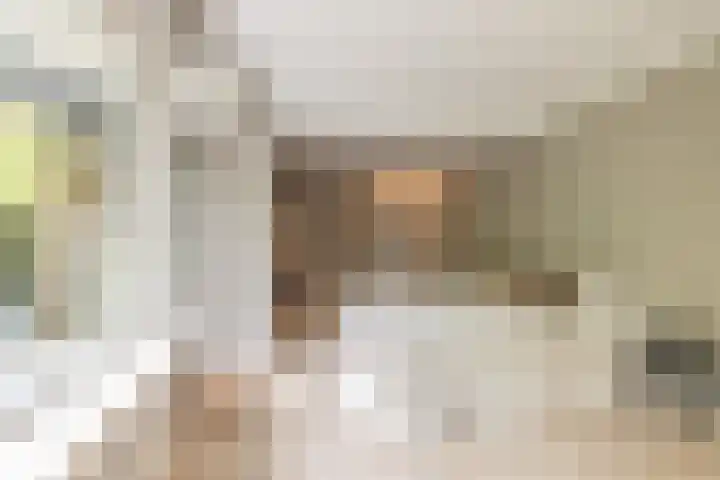 De Lairesselaan 12 Rotterdam thumbnail 22