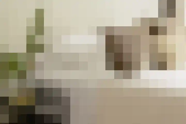 De Lairesselaan 12 Rotterdam thumbnail 23