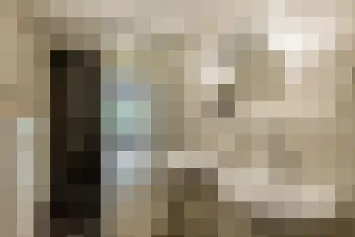 De Lairesselaan 12 Rotterdam thumbnail 27