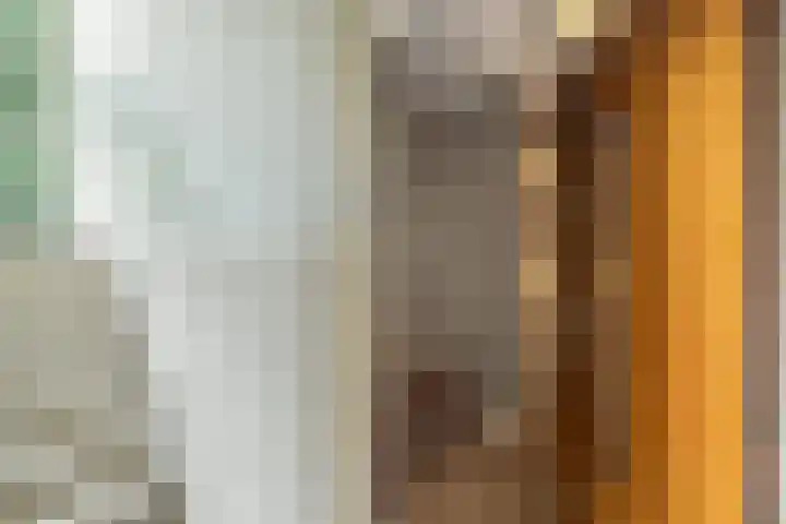 De Lairesselaan 12 Rotterdam thumbnail 4