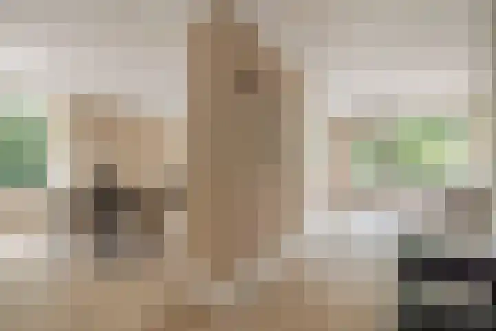De Lairesselaan 12 Rotterdam thumbnail 5