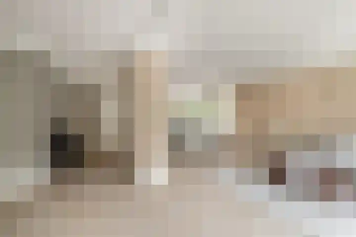 De Lairesselaan 12 Rotterdam thumbnail 7