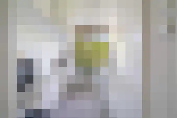 De Lairesselaan 155 Rotterdam thumbnail 10