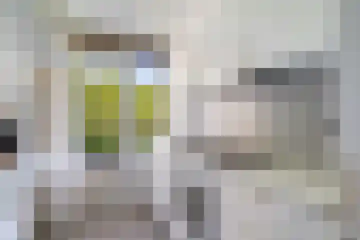 De Lairesselaan 155 Rotterdam thumbnail 11