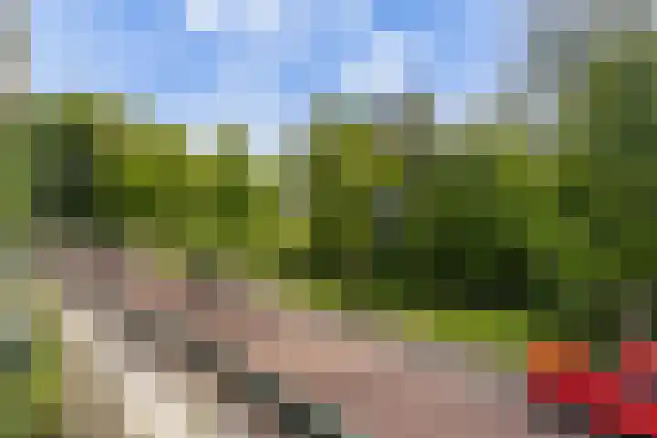 De Lairesselaan 155 Rotterdam thumbnail 13