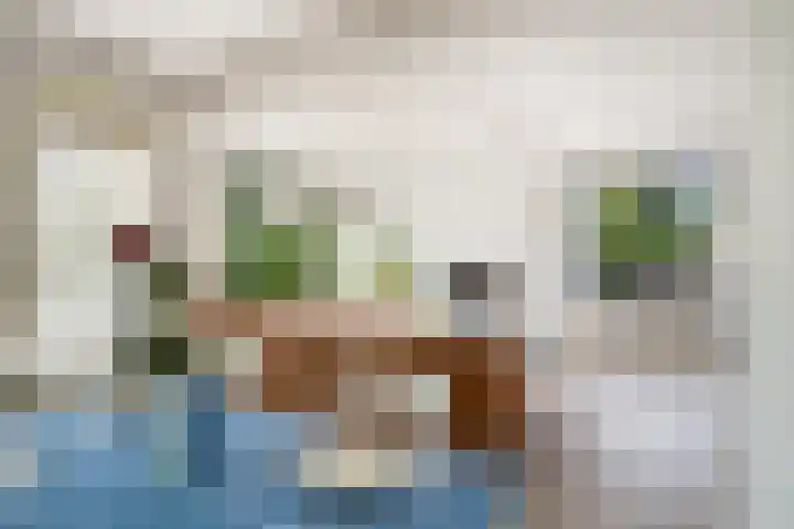 De Lairesselaan 155 Rotterdam thumbnail 8