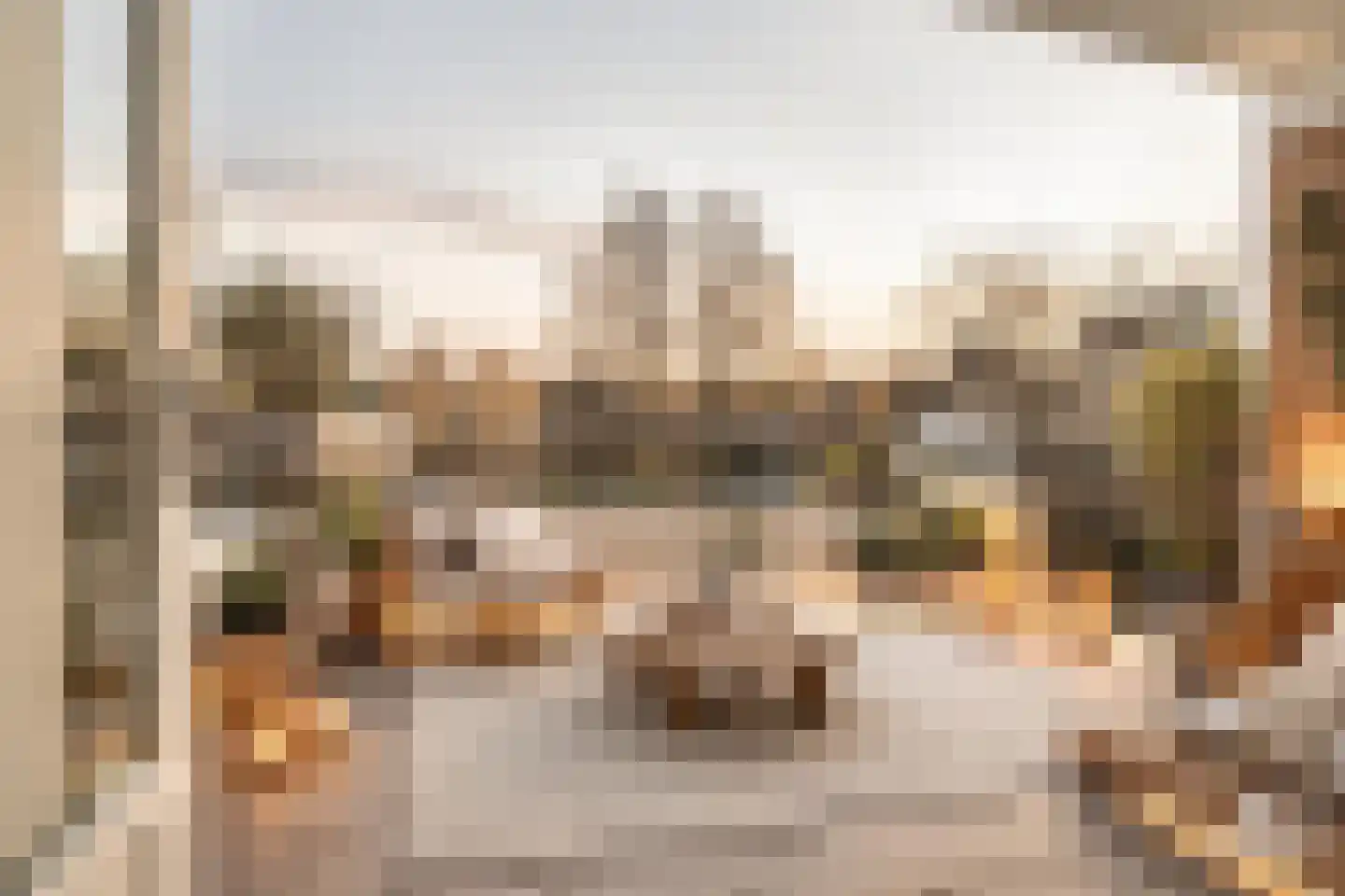 De Lairesselaan 165 Rotterdam thumbnail 11