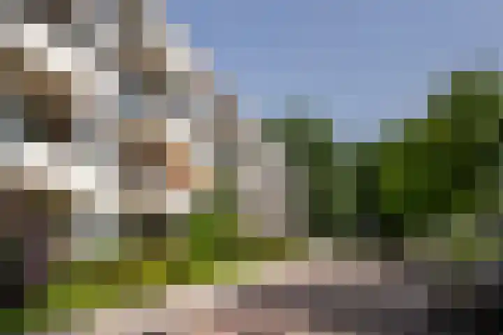 De Lairesselaan 177 Rotterdam thumbnail 25