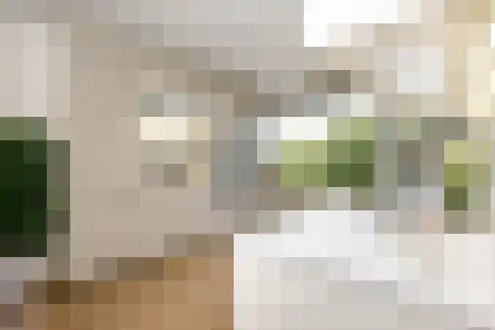 De Lairesselaan 179 Rotterdam thumbnail 11