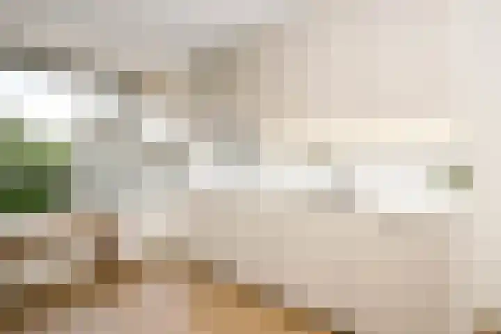 De Lairesselaan 179 Rotterdam thumbnail 13
