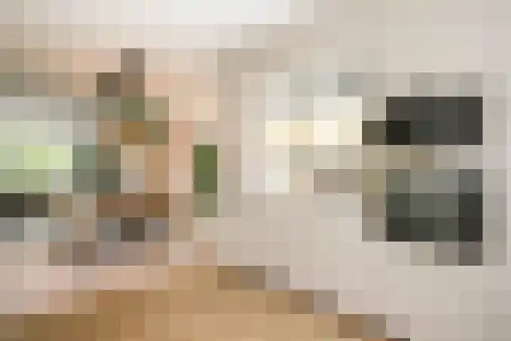 De Lairesselaan 179 Rotterdam thumbnail 15