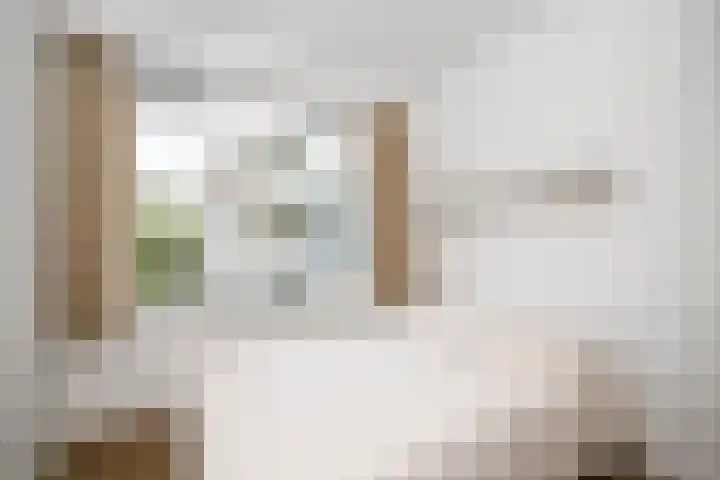 De Lairesselaan 179 Rotterdam thumbnail 31