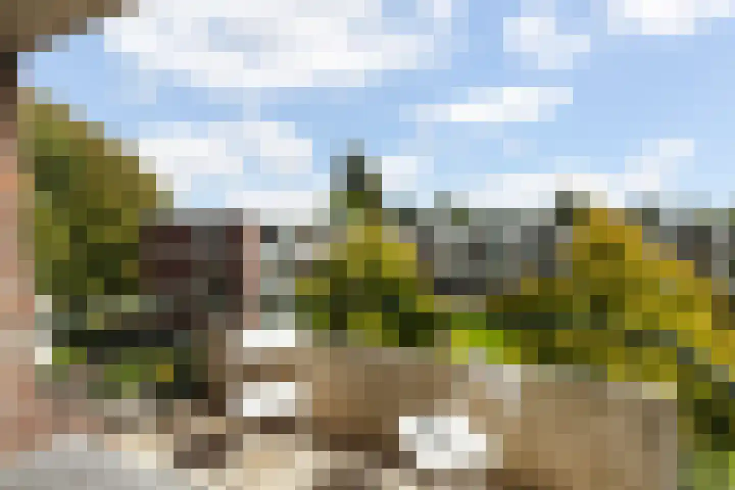 De Lairesselaan 183 Rotterdam thumbnail 21