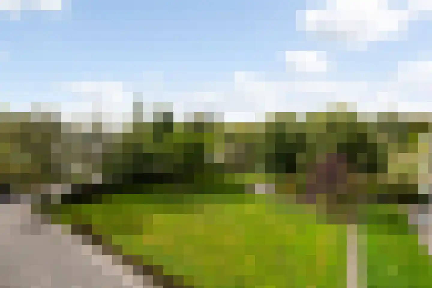 De Lairesselaan 183 Rotterdam thumbnail 23