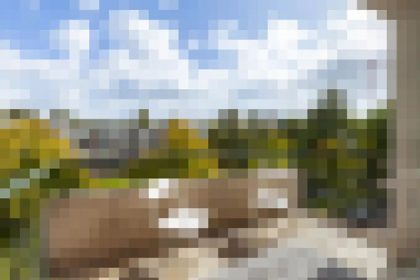 De Lairesselaan 183 Rotterdam thumbnail 5
