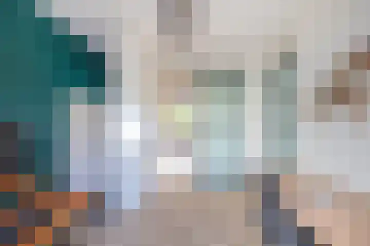 De Lairesselaan 26 Rotterdam thumbnail 20