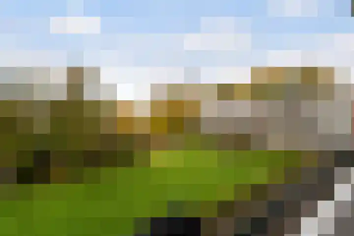 De Lairesselaan 63 Rotterdam thumbnail 31