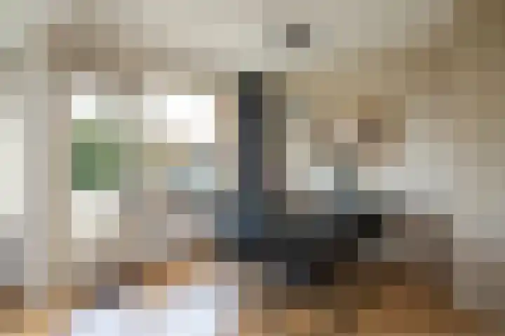 De Lairesselaan 71 Rotterdam thumbnail 11