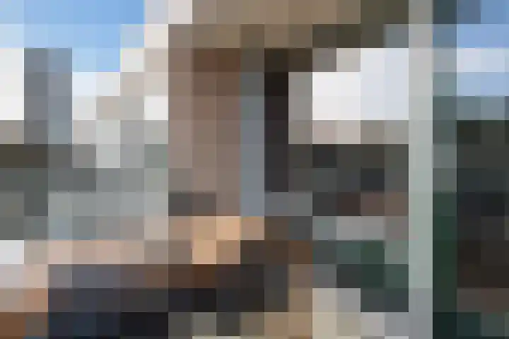 De Lairesselaan 71 Rotterdam thumbnail 12
