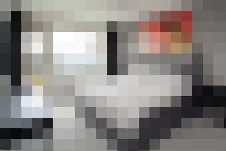 De Lairesselaan 71 Rotterdam thumbnail 16