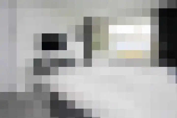 De Lairesselaan 71 Rotterdam thumbnail 17