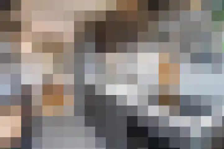 De Lairesselaan 71 Rotterdam thumbnail 6