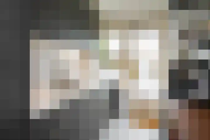 De Lairesselaan 71 Rotterdam thumbnail 7