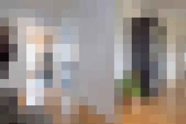 De Lairesselaan 71 Rotterdam thumbnail 8