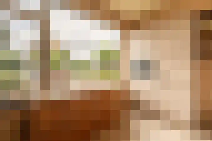 De Lairessestraat 10 Oud-Beijerland thumbnail 12