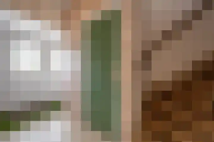 De Lairessestraat 10 Oud-Beijerland thumbnail 13