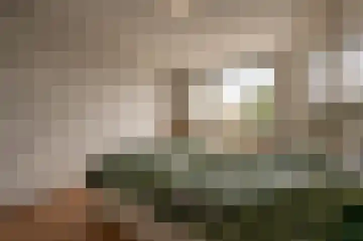 De Lairessestraat 10 Oud-Beijerland thumbnail 15