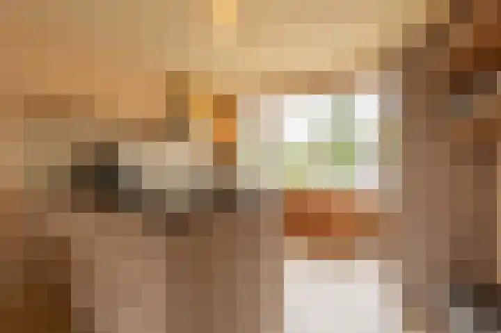 De Lairessestraat 10 Oud-Beijerland thumbnail 9